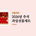 2026년 추석 _과일선물세트