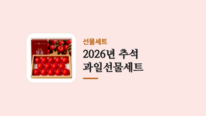2026년 추석 _과일선물세트