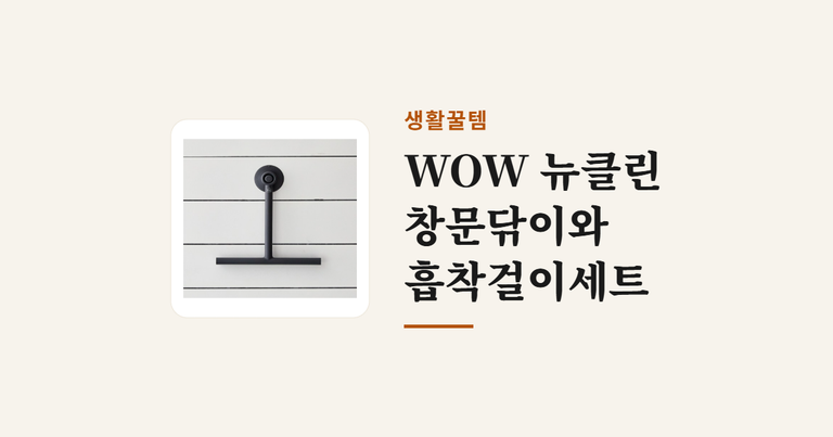 WOW_뉴클린_창문닦이와_흡착걸이세트 (1)