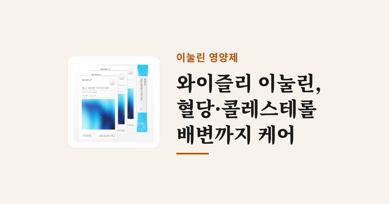 와이즐리 혈당 콜레스테롤 배변 치커리 커트, 28회분, 3박스
