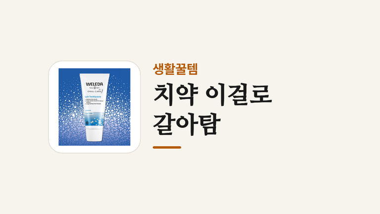 치약 이걸로_갈아탐